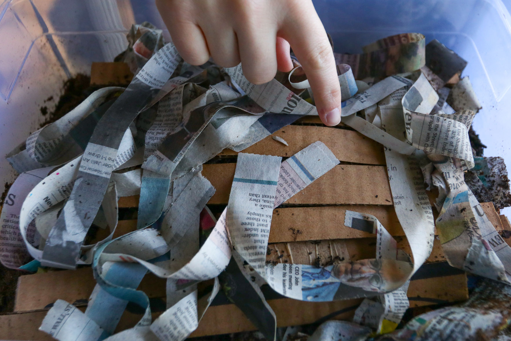 Compost at home with worms